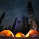 camping